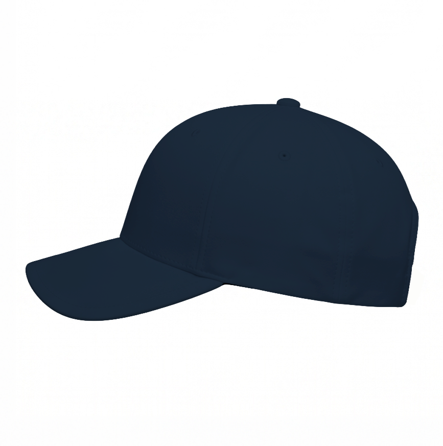 2FANGS - REAR 3D PVC RELIEF LOGO CAP